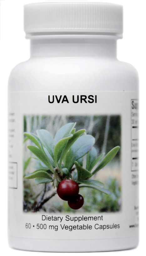 Uva Ursi